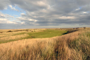 Goswick 14th Hole