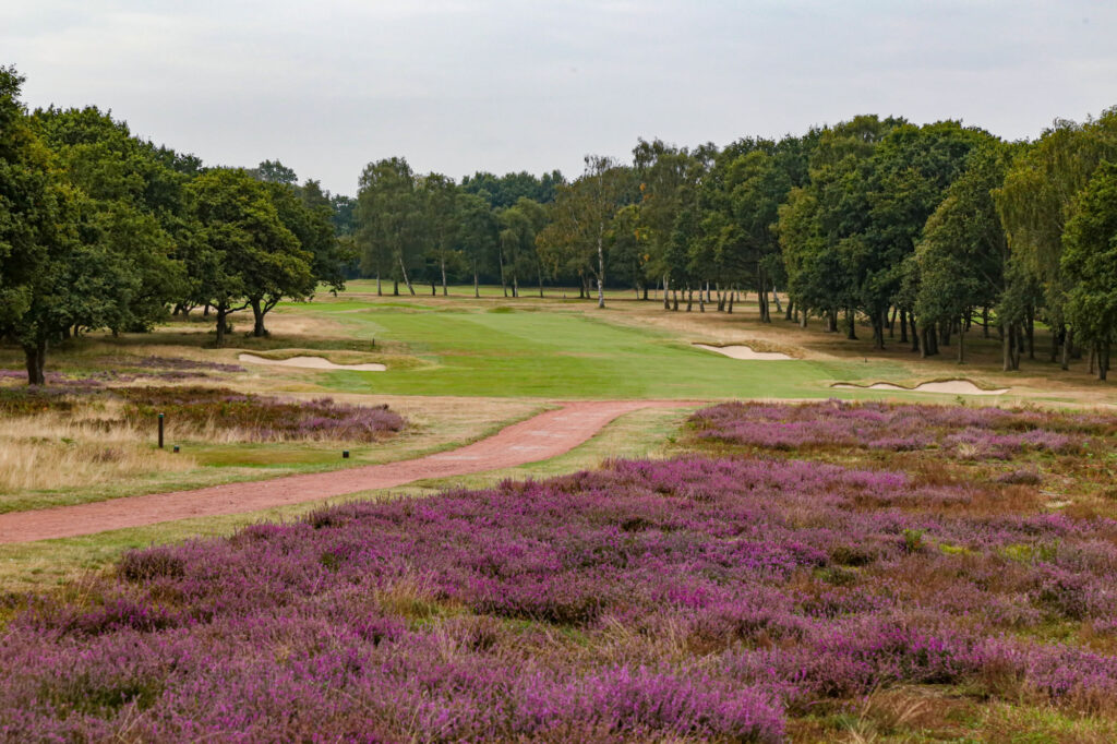 Golf v HS2 - Whittington Heath GC - GTE