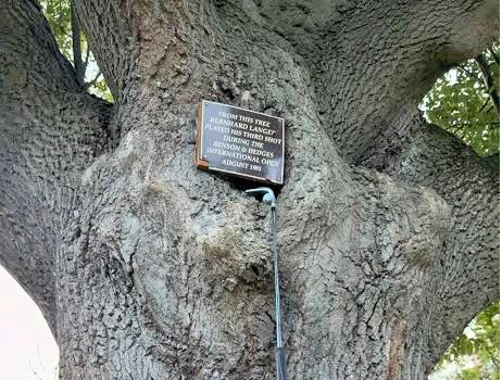 The plaque on the Langer tree at Fulford Golf Club, reading: From this tree Bernhard Langer played his third shot during the Benson and Hedges International Open, August 1981