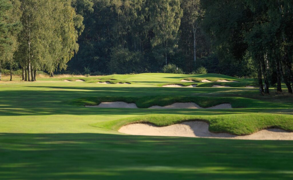 Approach to a green at Fulford Golf Club framed by silver birch woodland, with crossing bunkers and greenside bunkers cut into grassy mounds