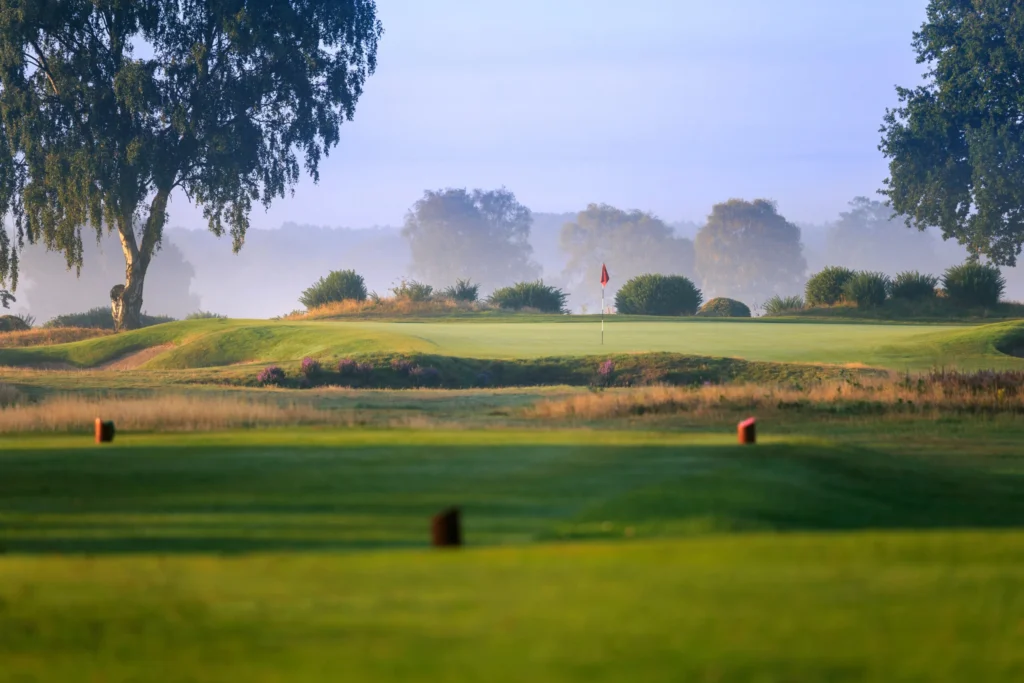 Early morning mist over a heathland green at Fulford Golf Club in York, with purple heather in front of the putting surface and silver birch trees behind