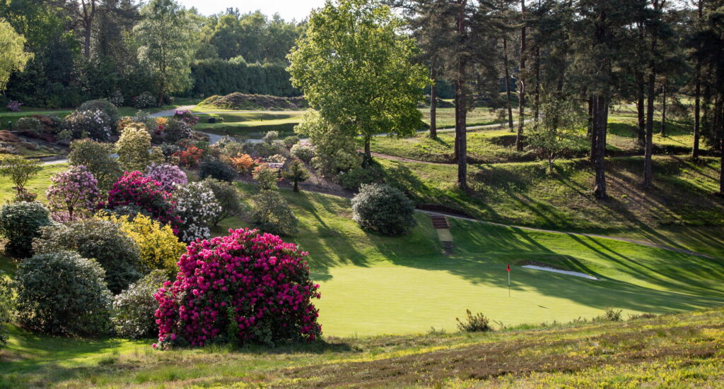 Hindhead Golf Club