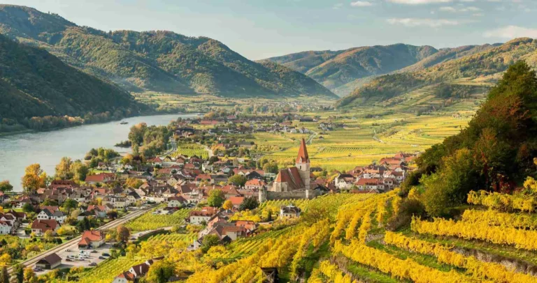 Wachau Valley vineyards, Austria